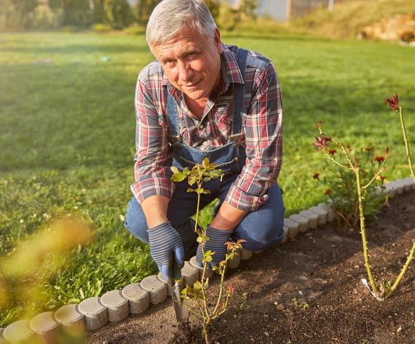 volunteer at abba house yard work or gardening